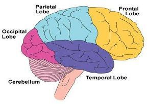Researchers: Pay more attention to epilepsy