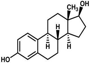 Estrogen may help precancerous cells spread in oral cavity
