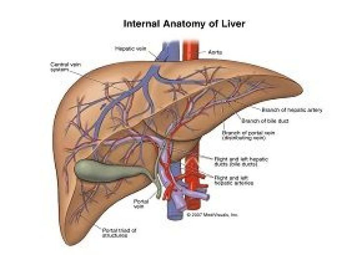 Cell Transplantation reports a success in treating end-stage liver disease