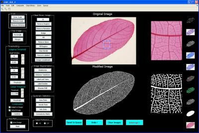 LEAF GUI software