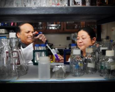 Research uncovers key to understanding cause of lupus