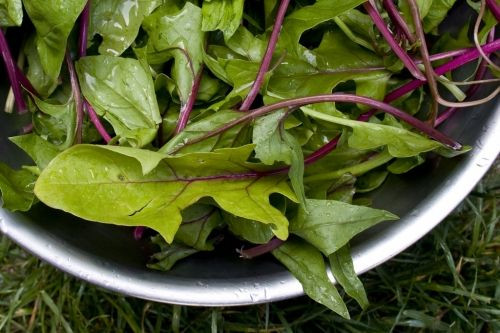 Want more efficient muscles? Eat your spinach