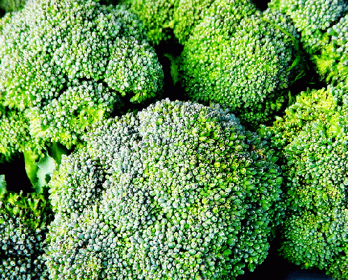 Discovery of a biochemical basis for broccoli's cancer-fighting ability