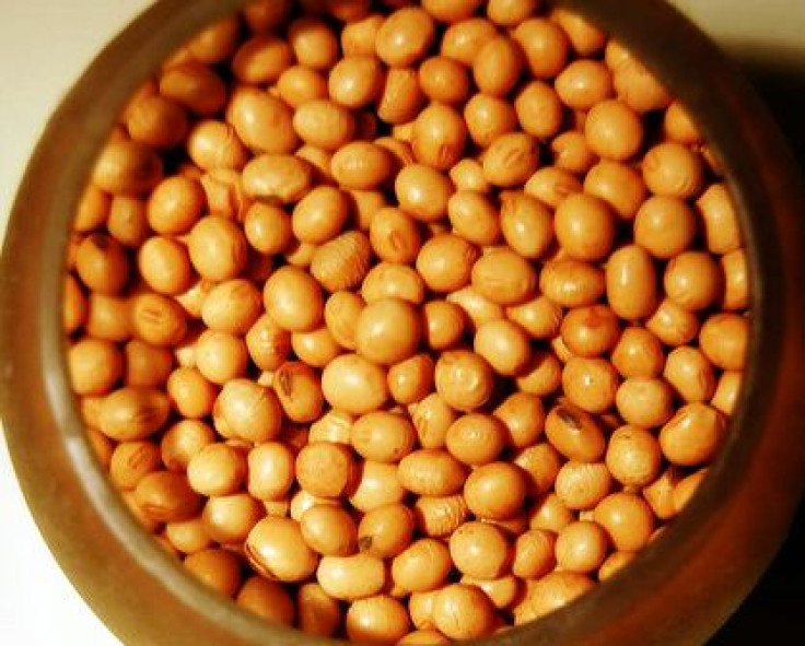 Soy increases radiation's ability to kill lung cancer cells, study shows