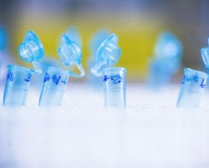 Stem cell study could pave the way to treatment for age-related muscle wasting