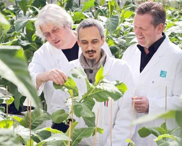 Medicines from plants