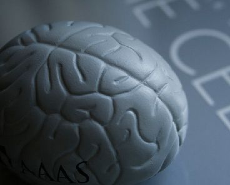 Fraunhofer MEVIS: New procedure to make brain surgery safer