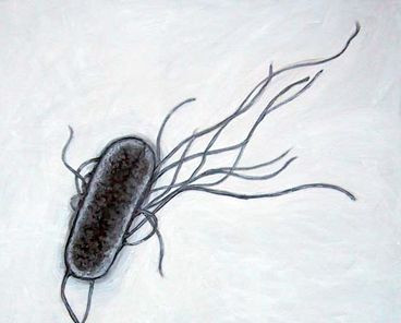 Study finds copper proves effective against new E. coli strains