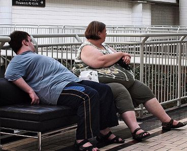 Finnish twin study yields new information on how fat cells cope with obesity