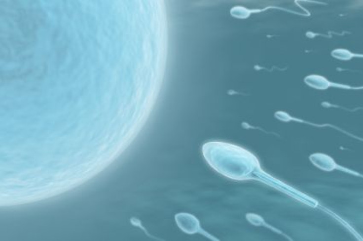 Missing Gene Coating Linked to Male Infertility