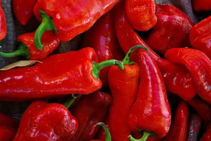 Chili Peppers A6U571N