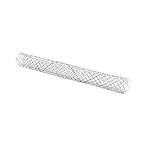 Stent