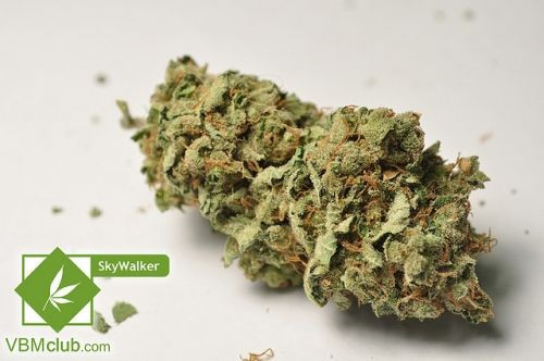 Medical Marijuana