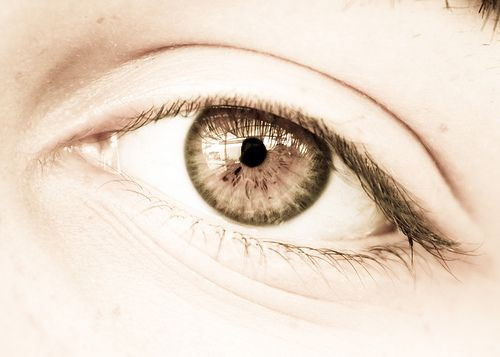 Eyelids