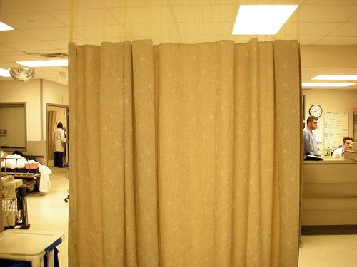 Privacy Curtain