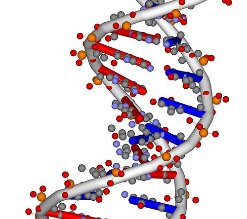 DNA rendering by ghutchis