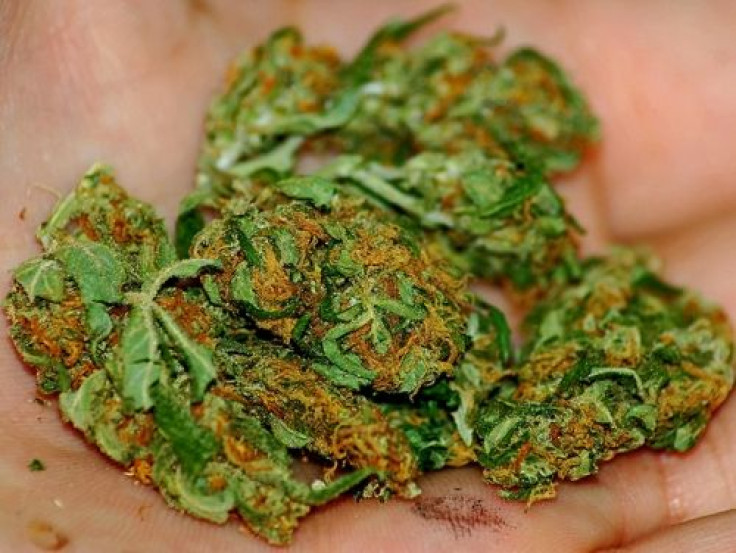 Federal prosecutors announced Friday a broad and aggressive crackdown of medical marijuana in California