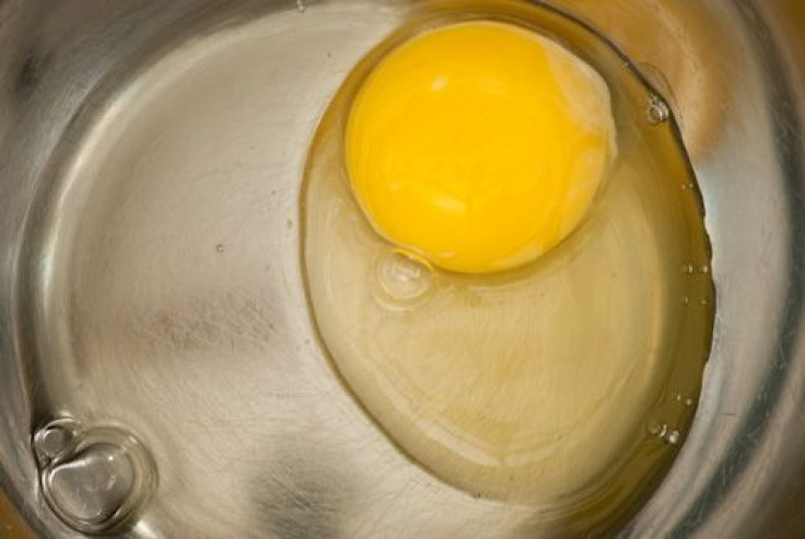 Raw egg in metal bowl