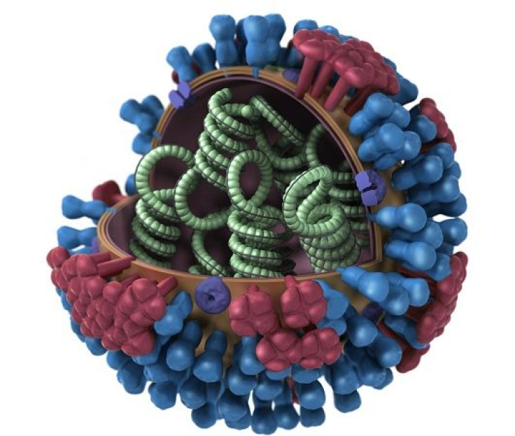 3D graphical representation of a generic influenza virion's ultrastructure, and is not specific to a seasonal, avian or 2009 H1N1 virus.