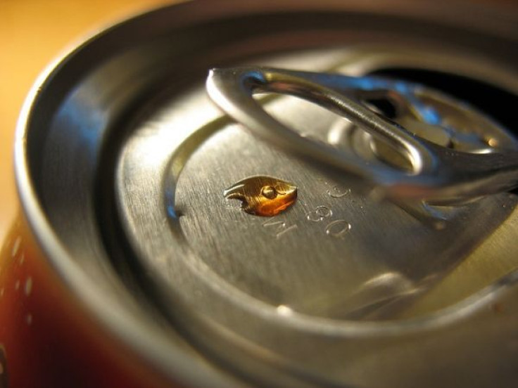 diet rich in fructose increase bad bacteria in the gut