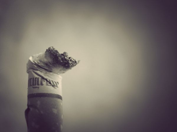 Cigarette