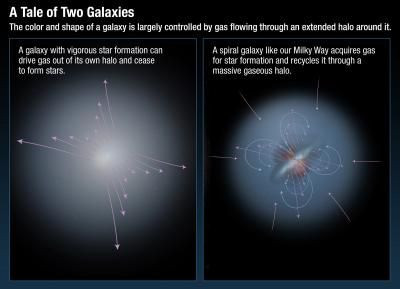 Color and Shape of a Galaxy Controlled by Flowing Gas