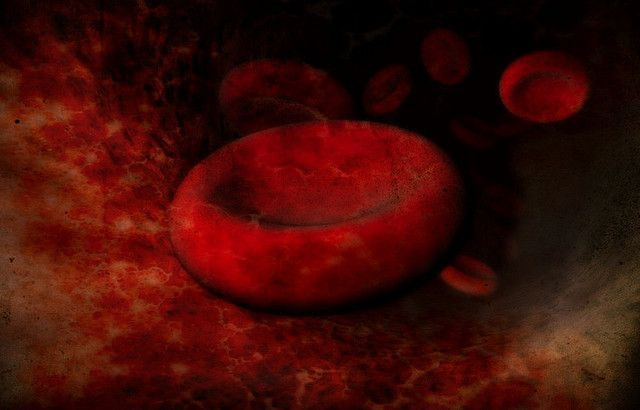 Blood