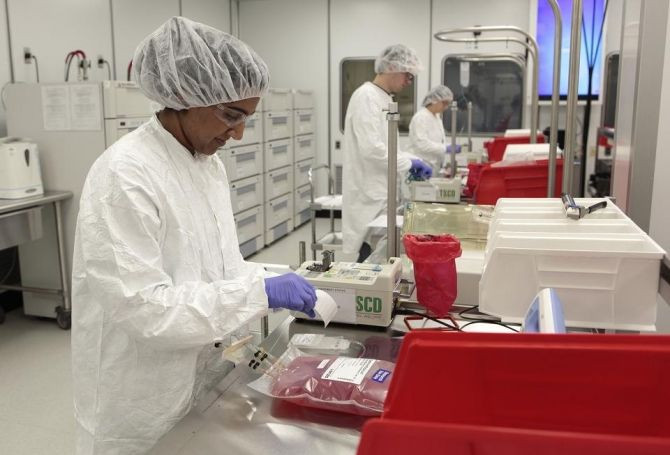 Aastrom Biosciences production assistant Mary Cheeramvelil works at 'priming' cell cassettes for incubation in the clean room laboratory at their headquarters in Ann Arbor, Michigan November 29, 2011.
