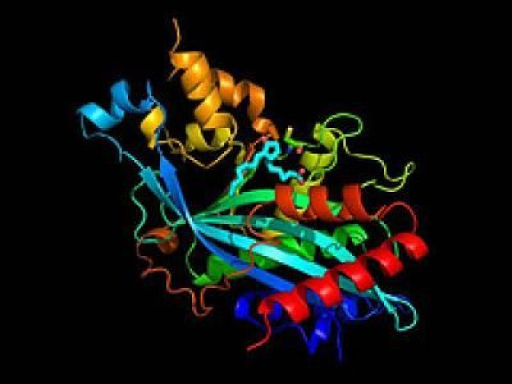 Fish Oil Derivitive