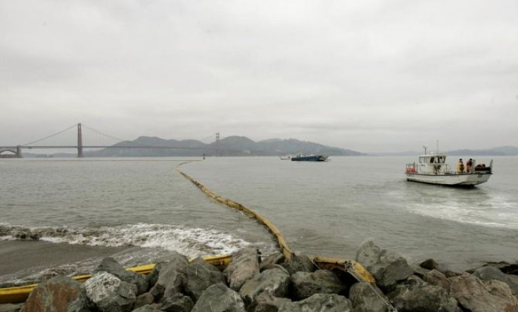 An emergency crew places a protective boom around the sand below the Golden Gate Bridge at Crissy Field in San Francisco, California November 8, 2007.