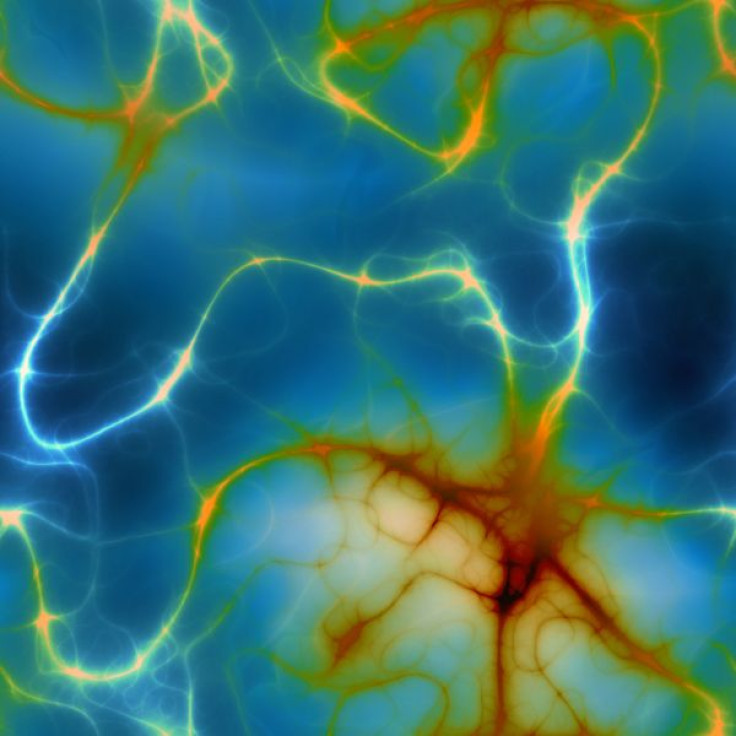 neuron connection