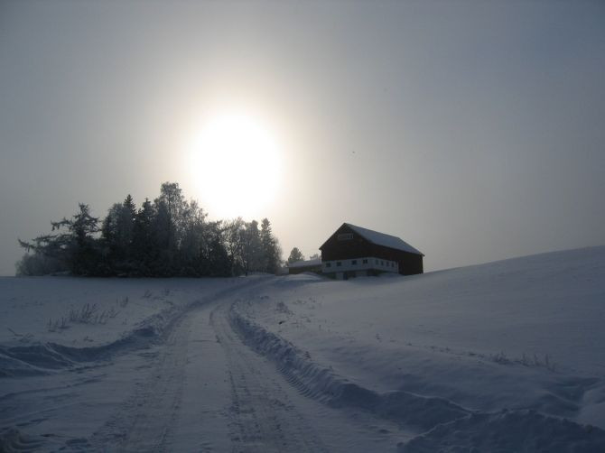 Winter Sun