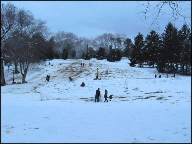 Winter Central Park