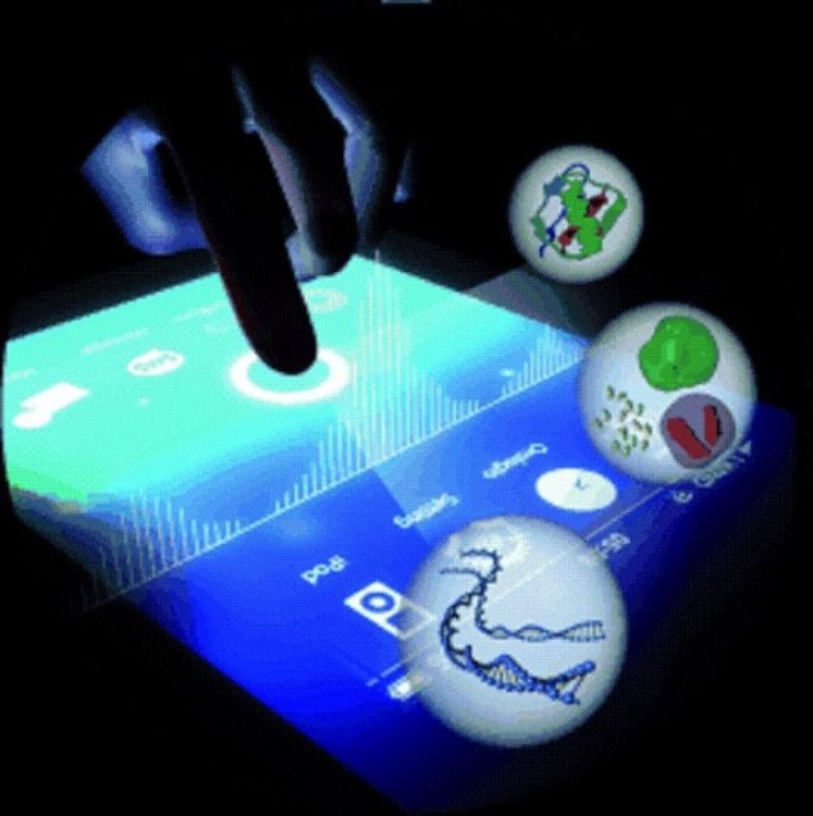 Touch Screen Testing: A biomolecular detection platform is presented that utilizes a capacitive touchscreen to measure DNA concentration.