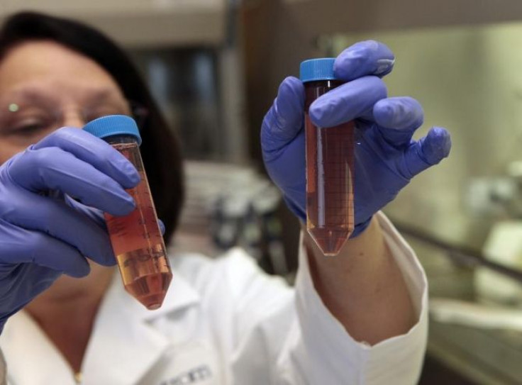 Aastrom Biosciences Research Associate Judith Schmitt holds up harvested ixmyelocel-T product and solution in centrifuge tubes at their headquarters in Ann Arbor, Michigan November 29, 2011.