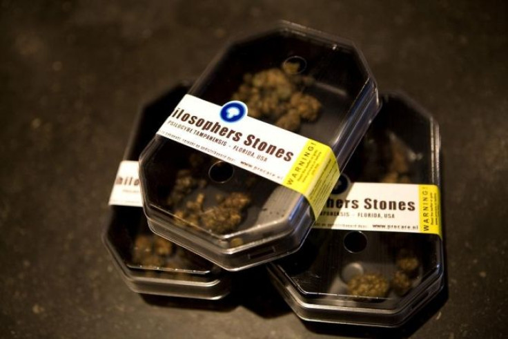 Boxes containing magic mushrooms sit on a counter at a coffee and smart shop in Rotterdam November 28, 2008.