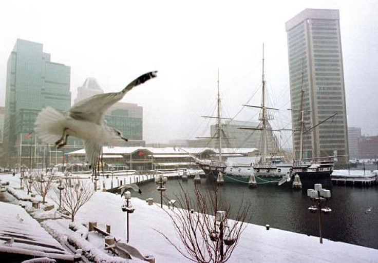 A seagull flies over the promenade of Baltimore's Inner Harbor during a snow storm.