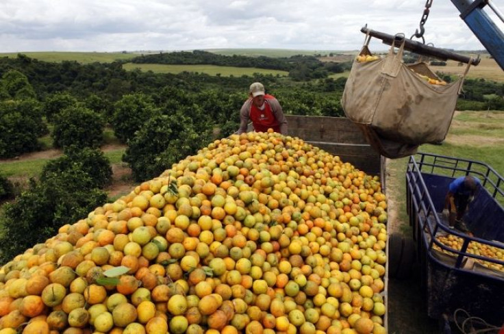 Oranges