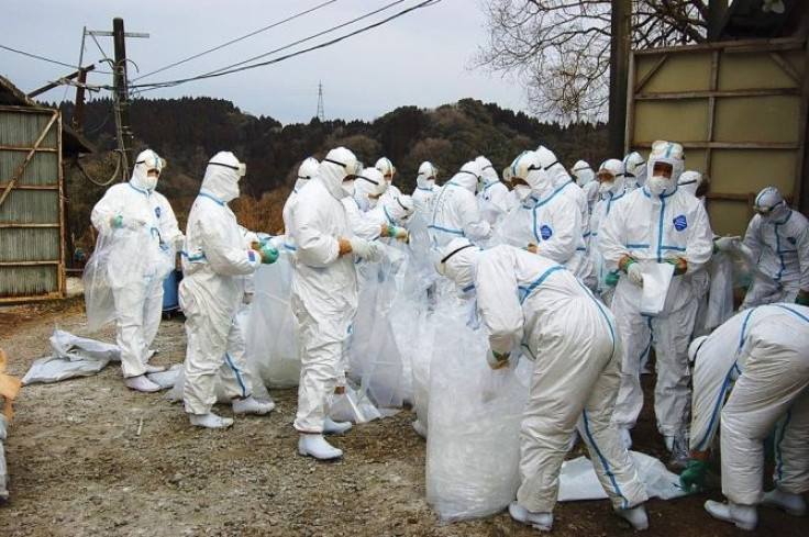 Workers including Japan Ground Self-Defence Force soldiers wearing protective suits cull chickens at a poultry farm where the bird flu virus had been found in Miyazaki.