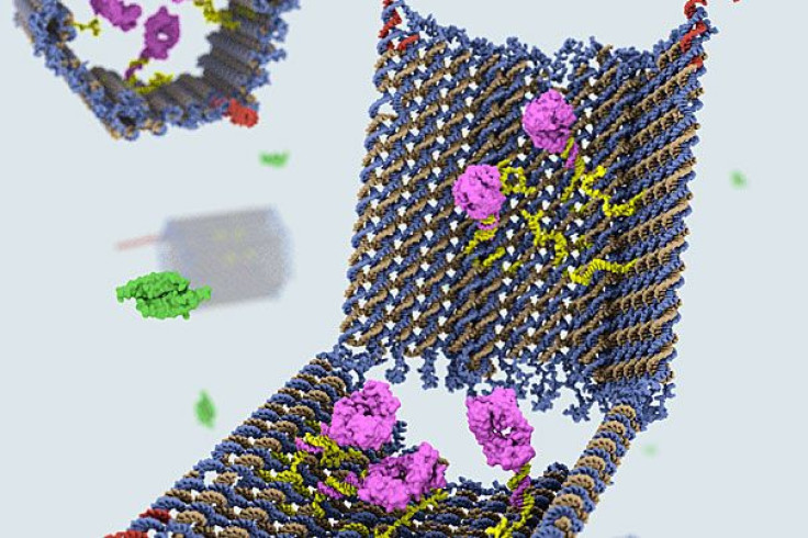 DNA Nanorobot