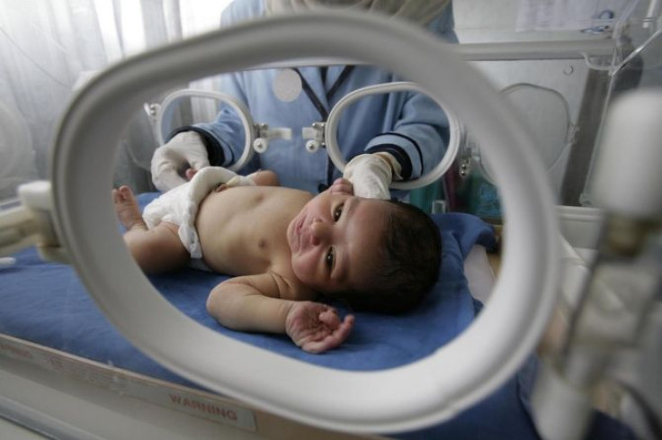 A nurse looks after a baby inside an incubator.