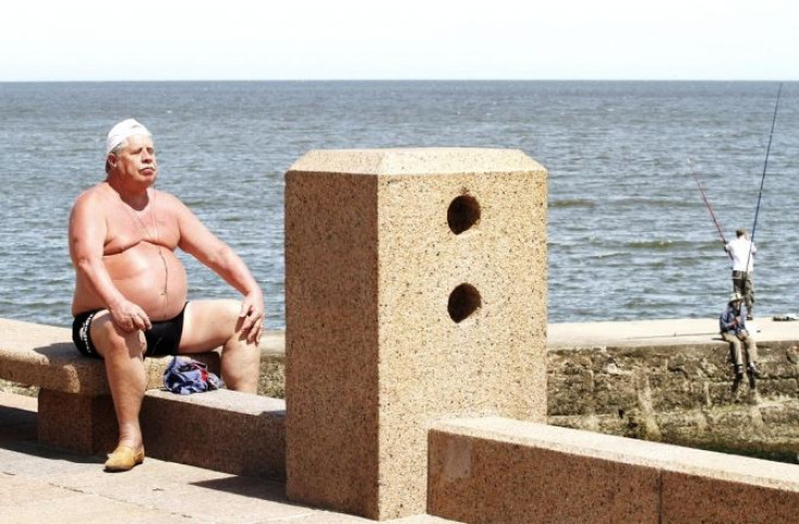 A man sunbathes along the waterfront of the Rio de la Plata (River Plate) in Montevideo November 23, 2011