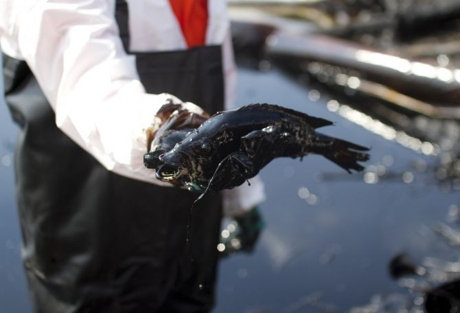 oil spill