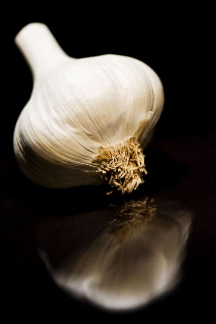 garlic