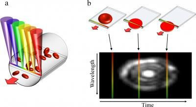 blood cell imaging
