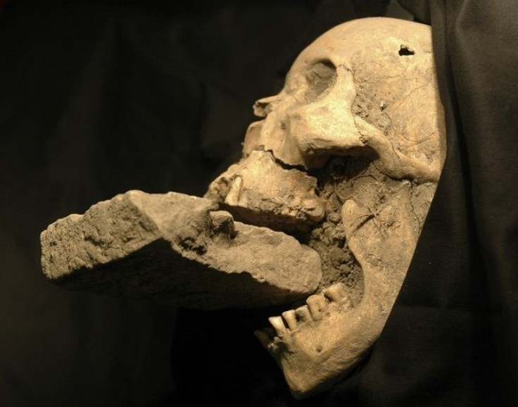 The remains of a female &quot;vampire&quot; from 16th-century Venice. Italian researchers believe they have found the remains of a female &quot;vampire&quot; from 16th-century Venice, buried with a brick in her mouth to prevent her feasting on plague vict
