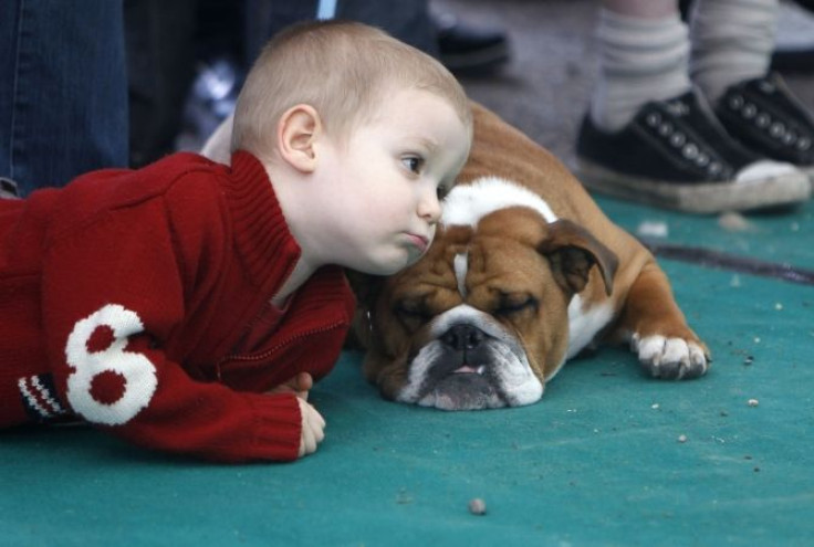 dog and child