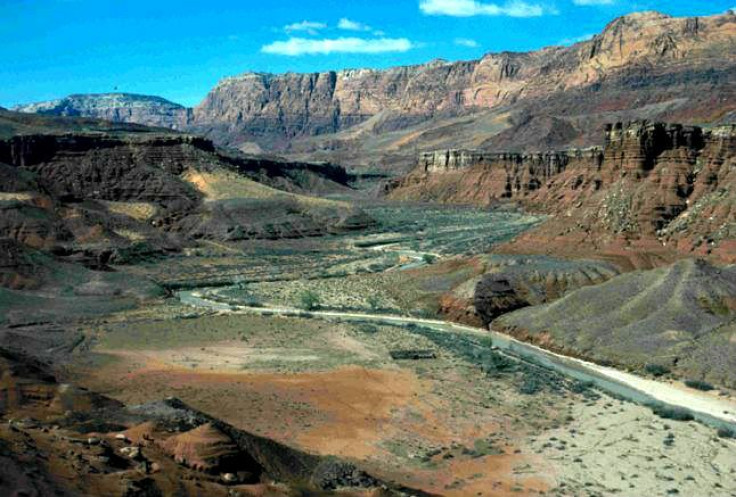 A 28-year-old autistic man from Colorado who had been living on frogs and roots for weeks while wandering the remote Escalante Desert of southern Utah was found emaciated but alive, authorities said.