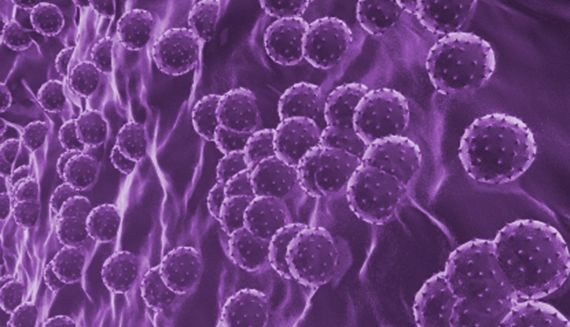 Microscopic view of hepatitis virus