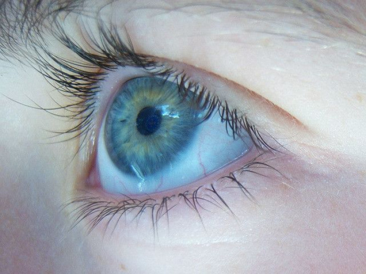 Eye Close Up